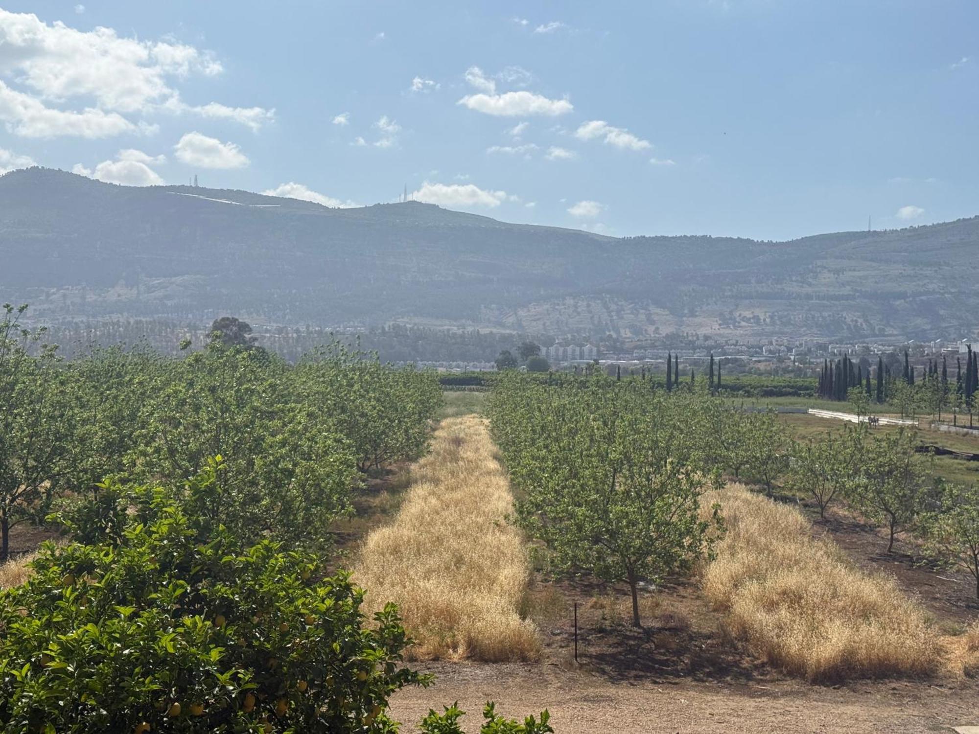 Gross Nofesh And Spa Guesthouse Beit Hillel Bagian luar foto